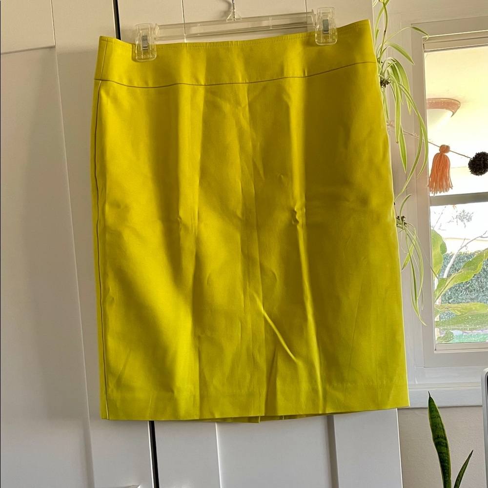 Ann Taylor Pencil Skrt